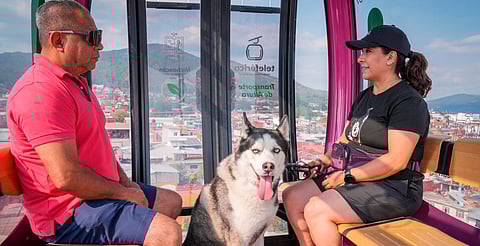 Estaciones Parque Nacional y Hospital, las más concurridas