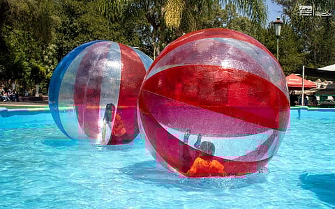 Esto es todo lo habrá por el Día del Niño en Zoo de Morelia; entradas gratis, también