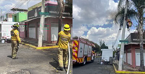 Incendio de palmera en Avenida Universidad moviliza a PC Michoacán