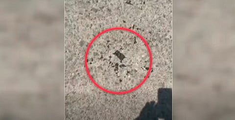 Reabre Teotihuacán tras ataque armado; visitantes reportan rastros visibles