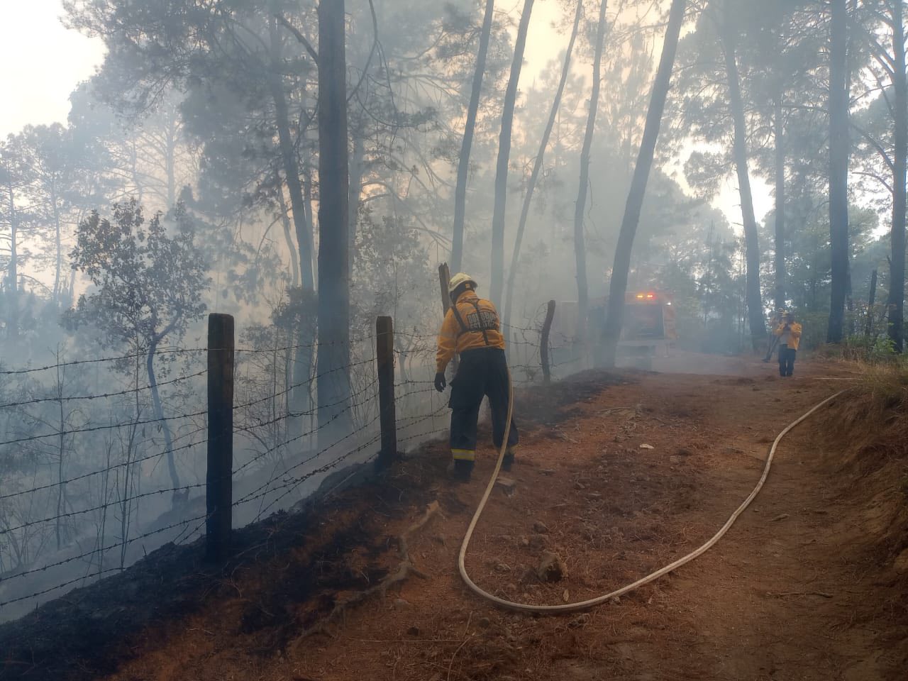 En una semana, incendios forestales arrasan casi 500 hectáreas en Michoacán