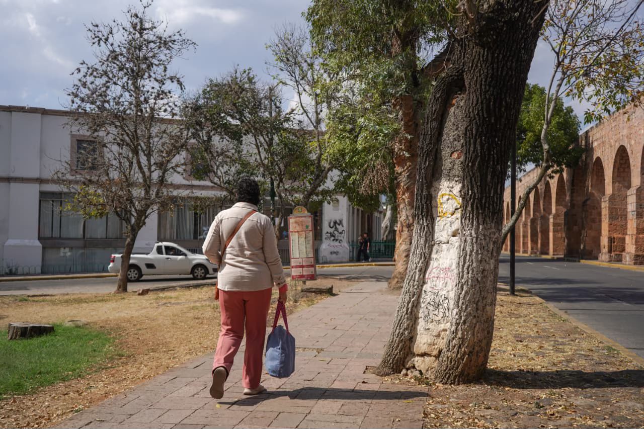 Morelia buscará recursos para rehabilitar el Bosque Cuauhtémoc