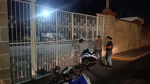 Obstaculizan acciones del IMPA para atender gatos ferales en panteón de Morelia