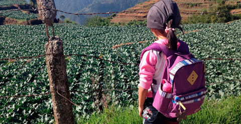 Michoacán, quinto lugar nacional en trabajo infantil: INEGI