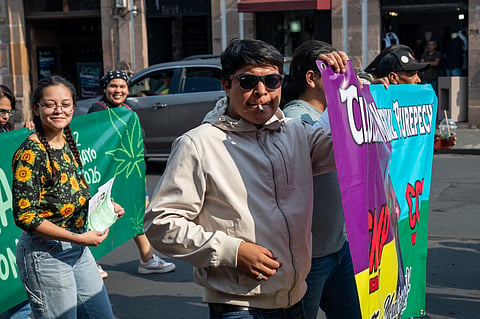 Morelia se suma a movilización global por la legalización de la marihuana