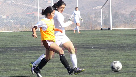Foto: Monarcas Morelia
