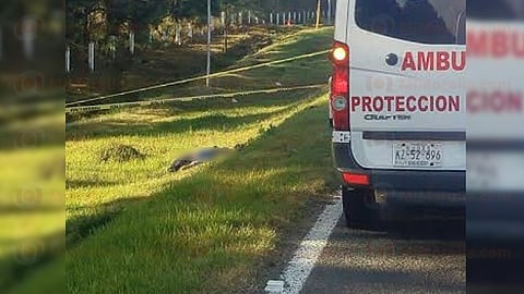 El ahora occiso quedó fuera de la cinta asfáltica