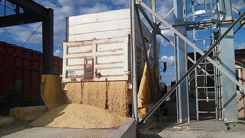 Asteca de Michoacán seguirá recibiendo grano hasta que culmine la cosecha en el estado