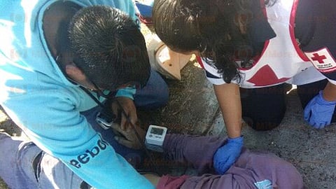 Cayó de aproximadamente cuatro metros de altura