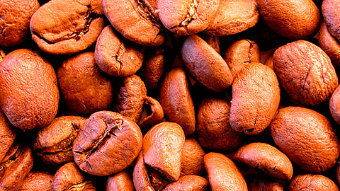 La palabra café deriva del vocablo árabe “Kaweh” que significa vigor