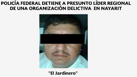 En su detención portaba dos identificaciones falsas, además cuenta con seis órdenes de aprehensión (Foto: @PoliciaFedMx)