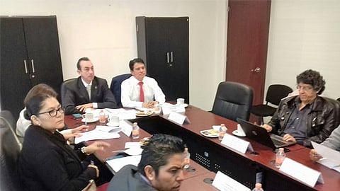 Los sectores atendidos fueron principalmente el agrícola, ganadero, forestal, artesanal e industrial