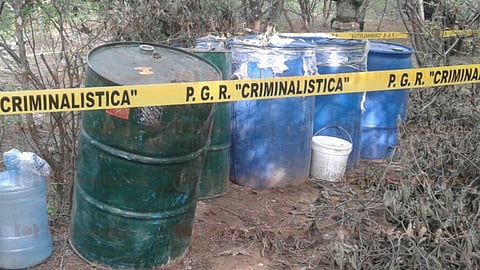 Fue eliminado un secadero de marihuana e incautado un gramo del narcótico conocido popularmente como “crystal”