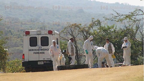 El hallazgo ocurrió en un paraje conocido como camino a La Nopalera (Foto: RED 113)