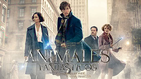 Animales Fantásticos y Dónde Encontrarlos amplía el universo de Harry Potter