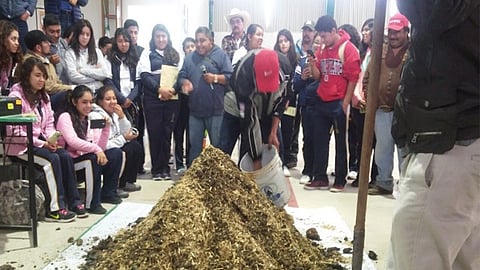 Estos fertilizantes permiten aumentar la cantidad de microorganismos benéficos en el suelo