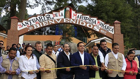 Encabeza Silvano Aureoles apertura de santuarios de la Mariposa Monarca