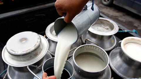 En el país se producen 12 mil millones de litros de leche