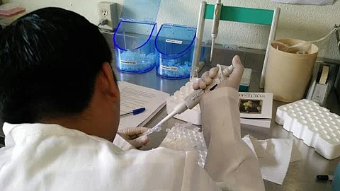 El desarrollo de la tuberculosis resistente a los medicamentos, es una amenaza creciente para nuestro país