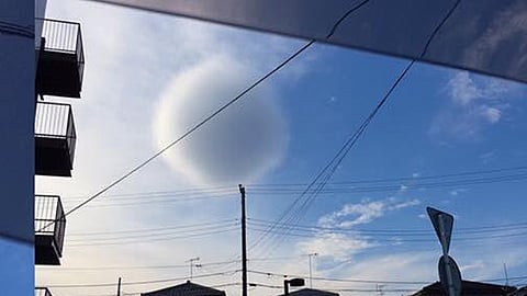 La imagen circuló rápidamente por Twitter (Foto: @pmxpvrtmx)