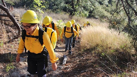 En México existen más de mil 800 brigadas entre oficiales y de la sociedad civil