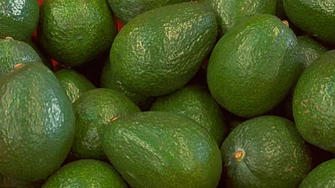 La entidad genera una derrama superior a los 46 mil millones de pesos