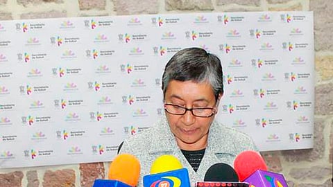 Silvia Hernández asumió las riendas de la secretaría en octubre pasado (Foto: Archivo)