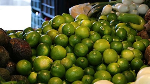 En nuestro estado hay 45 mil hectáreas cultivadas del cítrico y una producción de 670 mil toneladas (Foto: ACG)