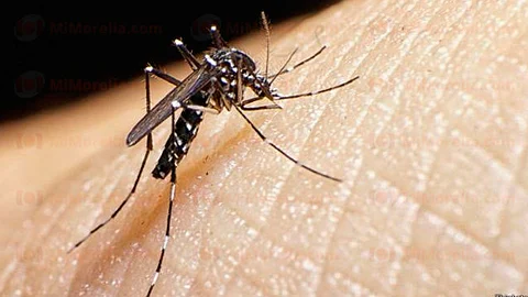 La Ssa llamó a la población a tomar precauciones para evitar la propagación y nuevos casos de Zika en territorio mexicano