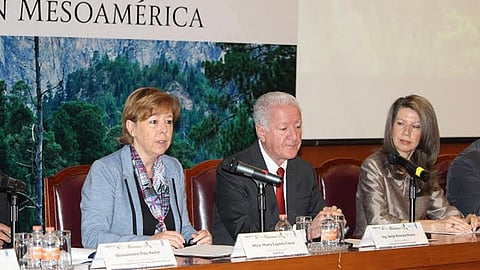 Presentan plataforma digital para enfrentar cambio climático con el monitoreo de bosques y selvas