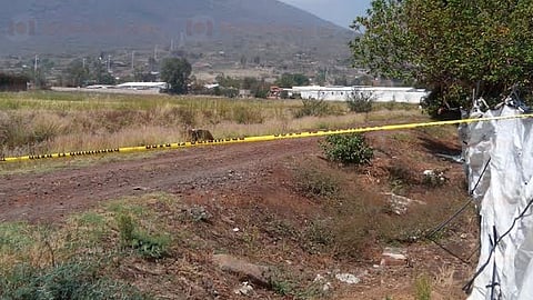 Fue cerca de las 11:40 horas de este viernes, que algunos jornaleros reportaron el macabro hallazgo (Foto: RED113)