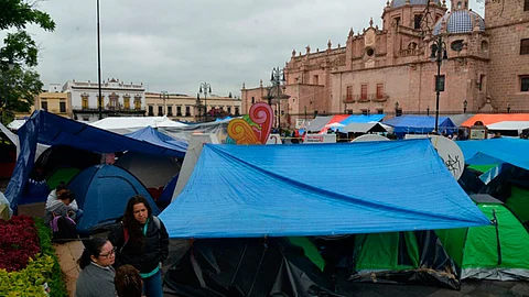 Solamente en junio del presente año las pérdidas alcanzan 85 millones de pesos