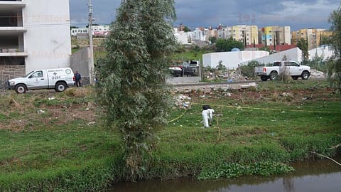Los resultados de la necropsia arrojaron que la chica murió a consecuencia de asfixia por sumersión (ahogada)