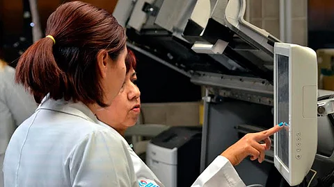 Espinoza y su equipo estudian al grupo de insectos triatominos, sobre todo Triatoma pallidipennis