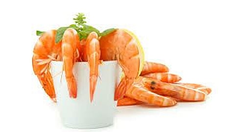 Las intoxicaciones se deben a la rápida descomposición de los alimentos