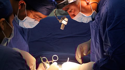 Este año, inician actividades en cuatro estados del país