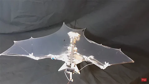 Puede utilizarse en tareas de rescate en zonas de complicado acceso (Foto: YouTube)