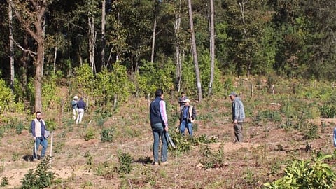 Clausuran 8 huertas en Santiago Undameo por falta de permisos