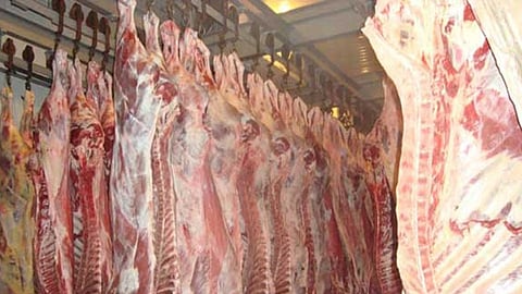 Huetamo encabeza la producción entre los municipios michoacanos (Foto: Sedrua)