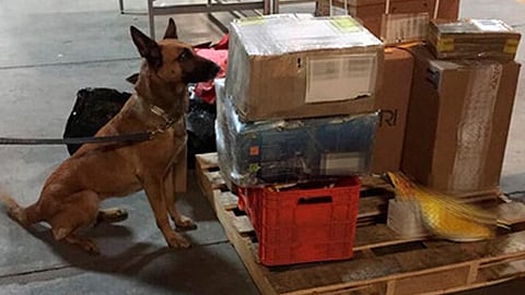 Los artefactos tenían como destino Culiacán, Sinaloa (Foto: Cortesía)