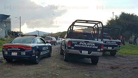 Se llevaron electrodomésticos