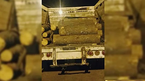 Fueron asegurados en la brecha conocida como el Arrastradero (Foto cortesía)