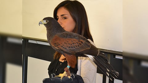 Sólo en Michoacán hay 550 especies de aves (Foto: Cortesía)
