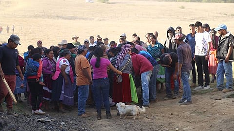 Las autoridades de Michoacán necesitan un modelo de coordinación con las comunidades y no una forma de intervención, expresó el académico (Foto: Archivo)