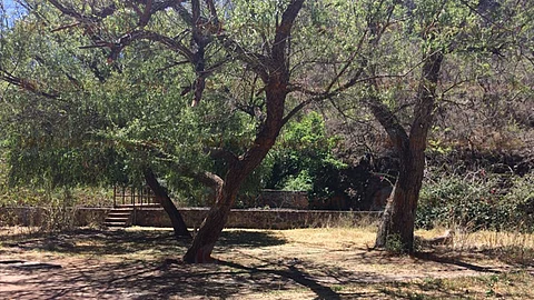 Los filtros viejos, rodeado de naturaleza y aire puro para respirar (Foto: Maribel Nieves)