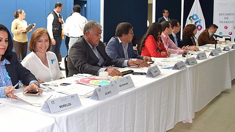 Se realizó la reunión de trabajo de organismos en materia de discapacidad en entidades federativas