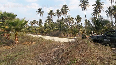El hallazgo fue este domingo sobre el Boulevard Costero (Foto: RED 113)