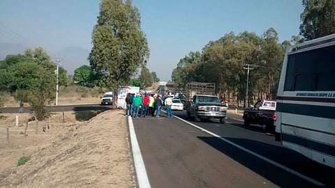 Autoridades se reunirán con aguacateros este mismo viernes (Foto: Cortesía)