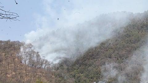 Incendios en La Cantera y Los Lobos de Pátzcuaro afectaron 115 hectáreas de cerro