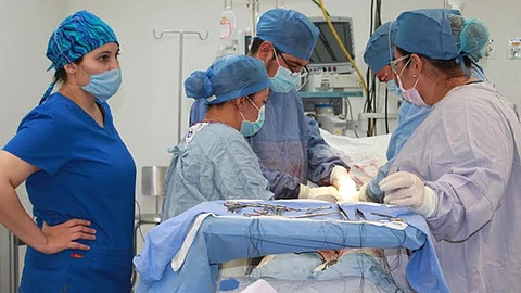 La procuración se realizó en aproximadamente siete horas (Foto: IMSS)